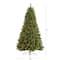 7.5ft. Pre-Lit Golden Tip Washington Pine & Pinecones Artificial Christmas Tree with Clear Lights